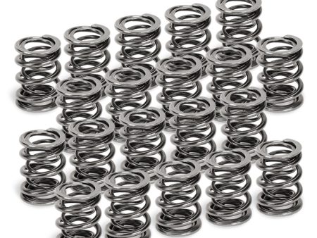 Supertech VW VR6 Dual Valve Spring - Set of 20 Discount