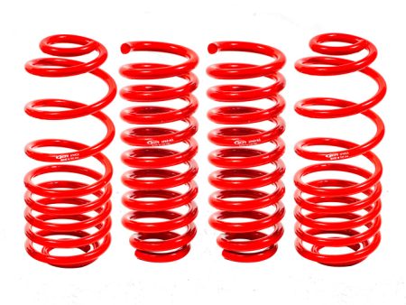 BMR 02-09 Trailblazer Lower Springs Set of 4 2in-3in Drop Red Online Hot Sale