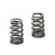 Supertech Toyota 2JZ-GE 19.70mm Outer ID 15.20mm Inner ID 10.4 SR Beehive Spring - Single (D S Only) Discount