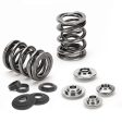 Supertech Mazda Miata 1.6L Dual Valve Spring Kit (70lbs at 34.2mm Installed Height) For Discount