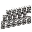 Supertech VW VR6 Dual Valve Spring - Set of 16 Fashion