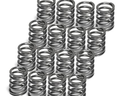 Supertech Ford Ecoboost 2.3L Conical Spring - Set of 16 Online Hot Sale